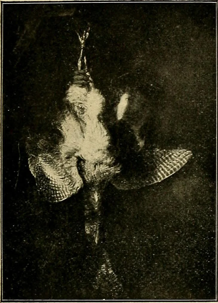 An illustration from Katalog der Königlichen Gemäldegalerie zu Dresden, 1908, leaf 580