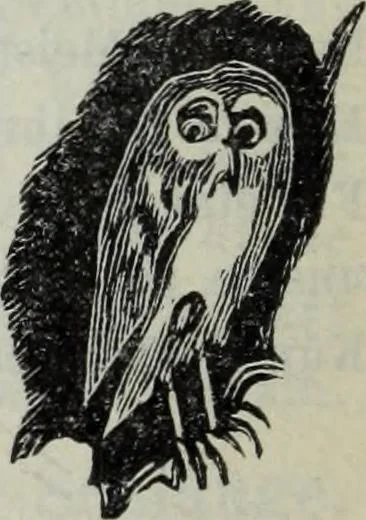 An illustration from Katalog der Königlichen Gemäldegalerie zu Dresden, 1902, leaf 297