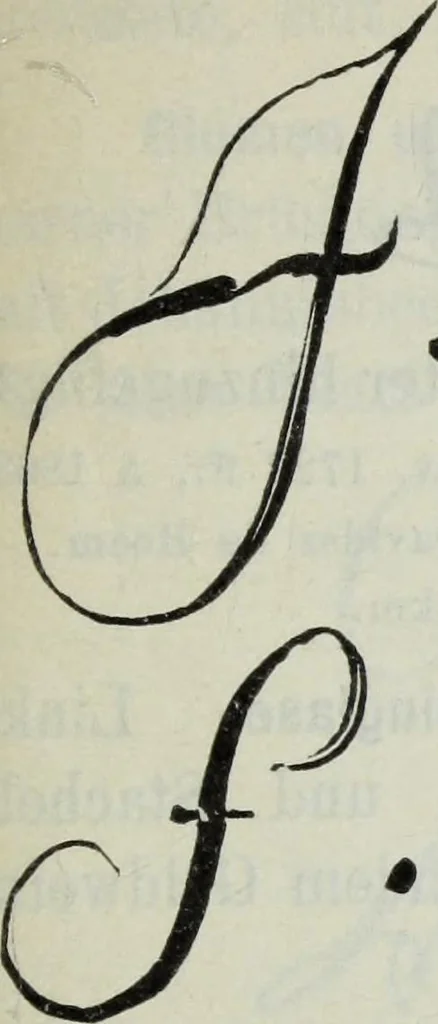 An illustration from Katalog der Königlichen Gemäldegalerie zu Dresden, 1902, leaf 432