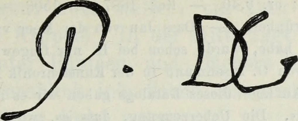 An illustration from Katalog der Königlichen Gemäldegalerie zu Dresden, 1902, leaf 486