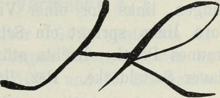 An illustration from Katalog der Königlichen Gemäldegalerie zu Dresden, 1902, leaf 532