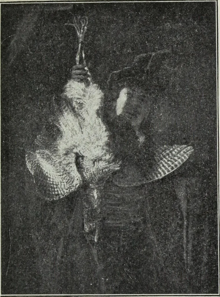 An illustration from Katalog der Königlichen Gemäldegalerie zu Dresden, 1902, leaf 544