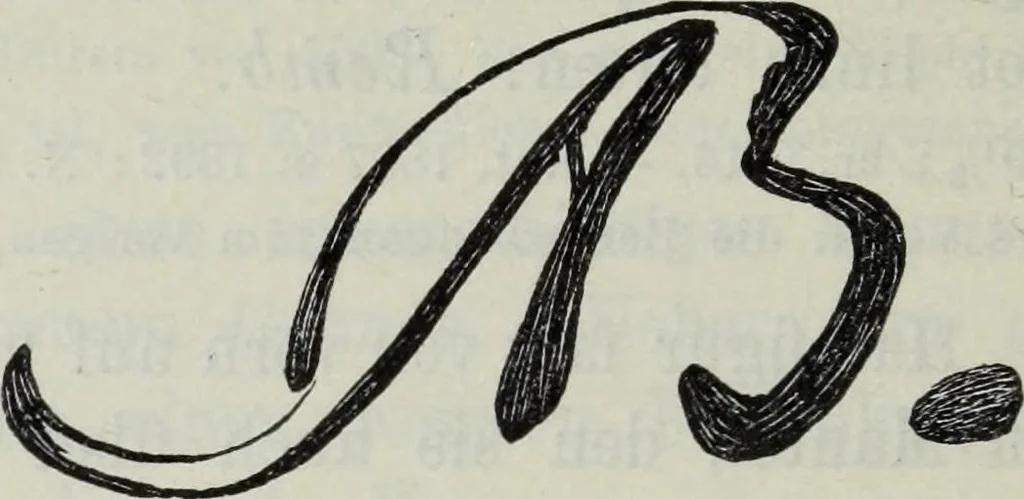 An illustration from Katalog der Königlichen Gemäldegalerie zu Dresden, 1902, leaf 557