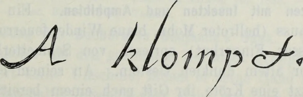 An illustration from Katalog der Königlichen Gemäldegalerie zu Dresden, 1902, leaf 568