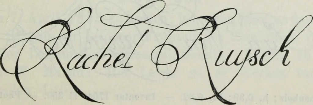 An illustration from Katalog der Königlichen Gemäldegalerie zu Dresden, 1902, leaf 596