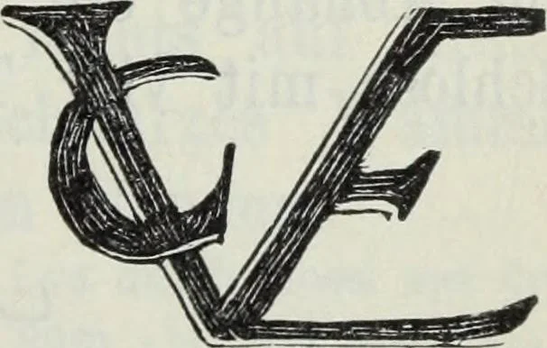 An illustration from Katalog der Königlichen Gemäldegalerie zu Dresden, 1902, leaf 640