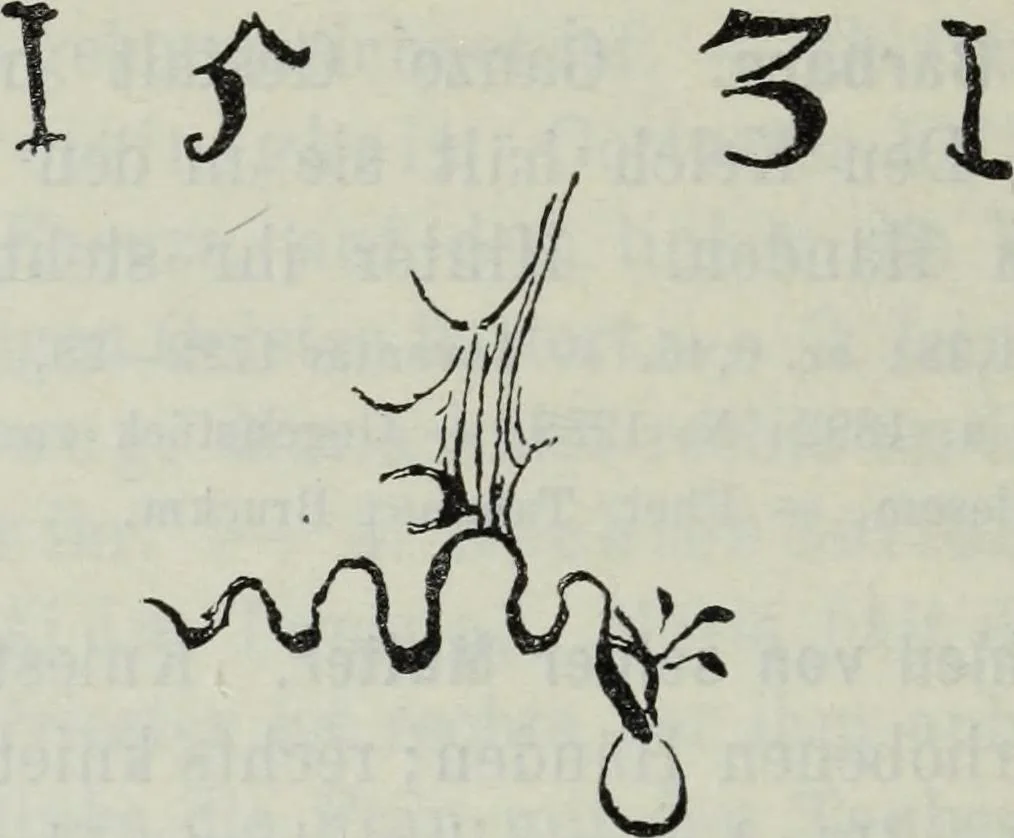 An illustration from Katalog der Königlichen Gemäldegalerie zu Dresden, 1902, leaf 673