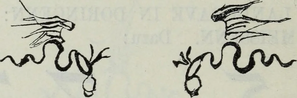 An illustration from Katalog der Königlichen Gemäldegalerie zu Dresden, 1902, leaf 675