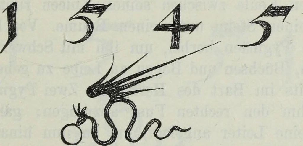 An illustration from Katalog der Königlichen Gemäldegalerie zu Dresden, 1902, leaf 682