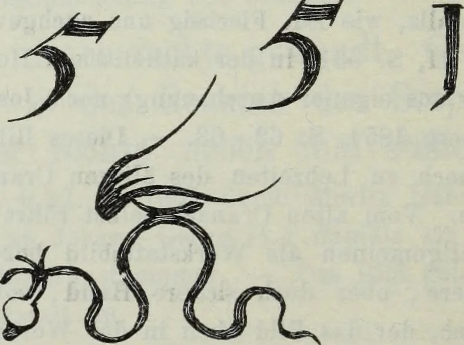 An illustration from Katalog der Königlichen Gemäldegalerie zu Dresden, 1902, leaf 683