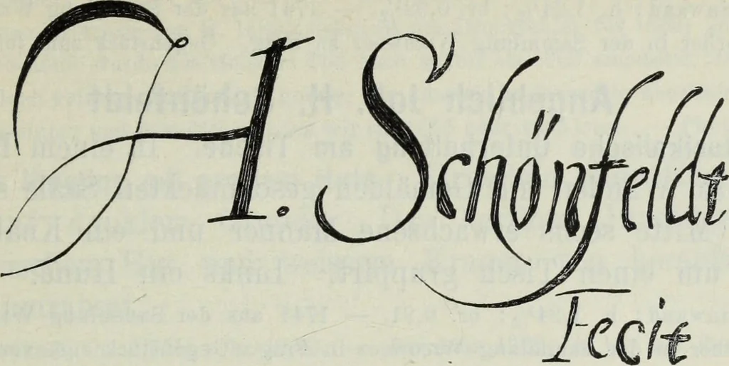 An illustration from Katalog der Königlichen Gemäldegalerie zu Dresden, 1902, leaf 698