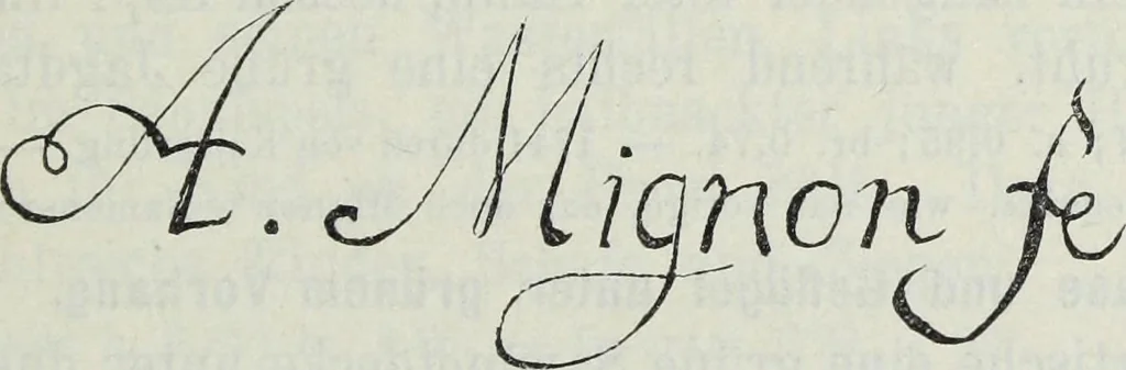 An illustration from Katalog der Königlichen Gemäldegalerie zu Dresden, 1902, leaf 708