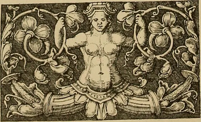 An illustration from Katalog der ornamentstich-sammlung des Kunstgewerbe-museums, mit 200 abbildungen, 1894, leaf 253