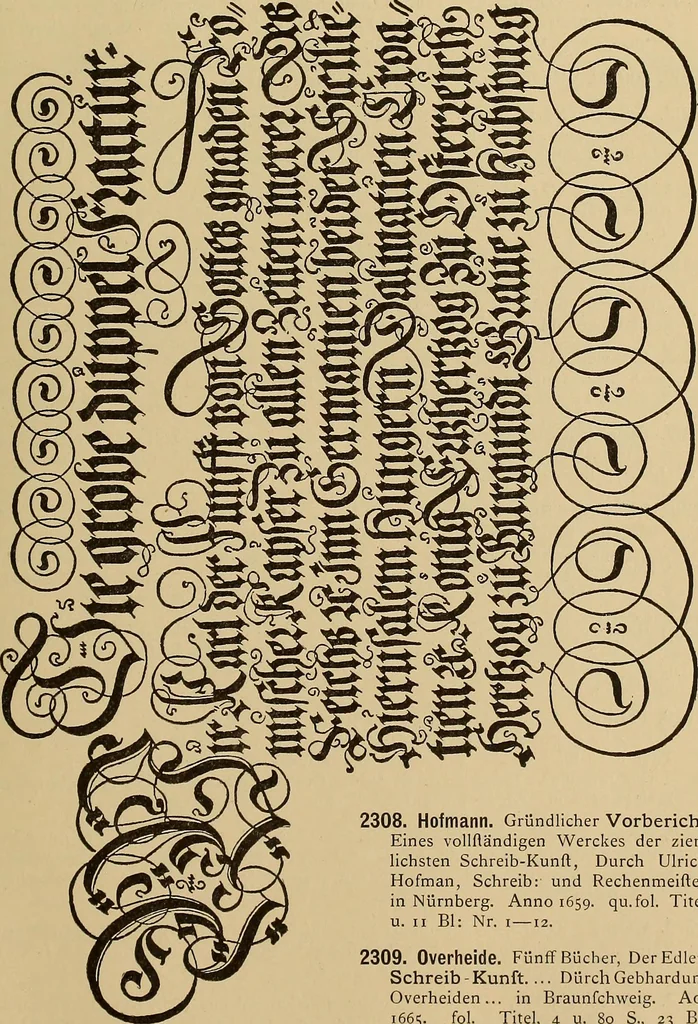 An illustration from Katalog der ornamentstich-sammlung des Kunstgewerbe-museums, mit 200 abbildungen, 1894, leaf 356