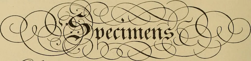 An illustration from Katalog der ornamentstich-sammlung des Kunstgewerbe-museums, mit 200 abbildungen, 1894, leaf 363