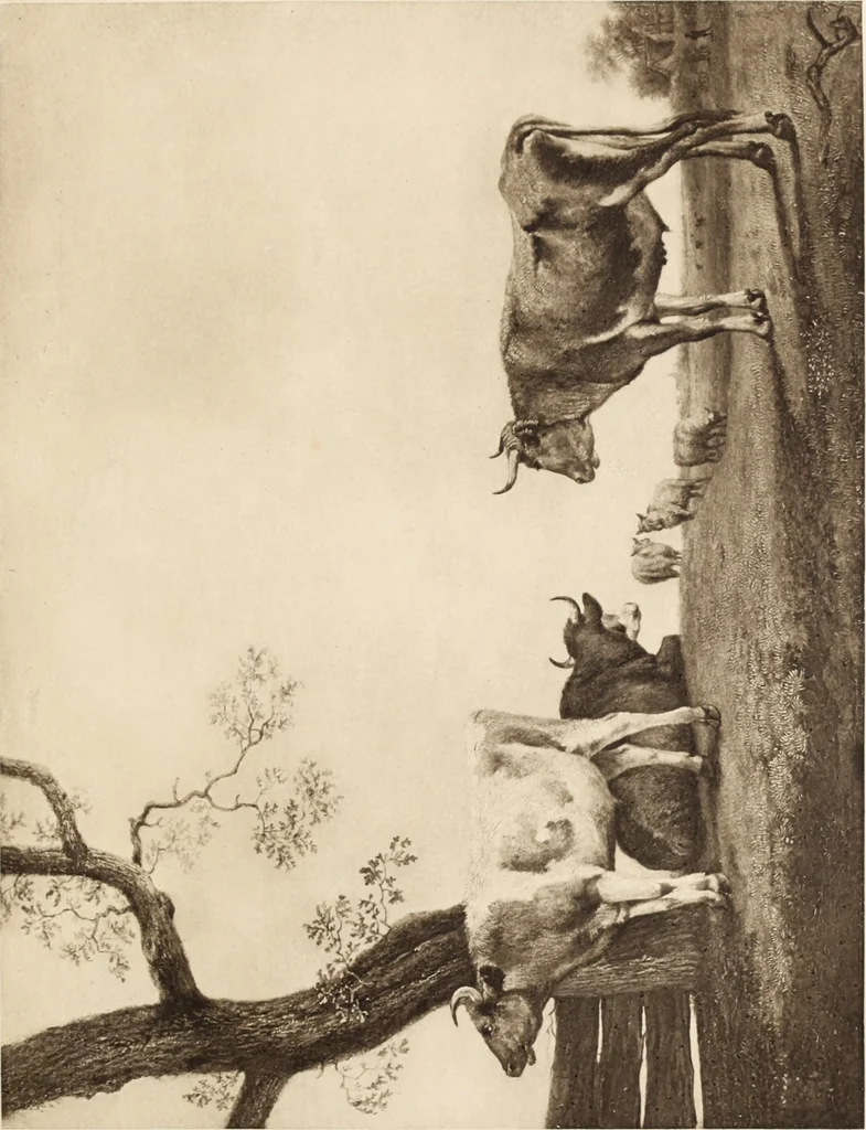 An illustration from Katalog der Sammlung Baron Königswarter in Wien : II. Abteilung: Gemälde alte Meister. Vorbesichtigung in Wien in der Kunsthandlung Friedrich Schwarz ... Vorbesichtigung in Berlin in der Kunsthandlung Eduard Schulte ..., 1906, leaf 106