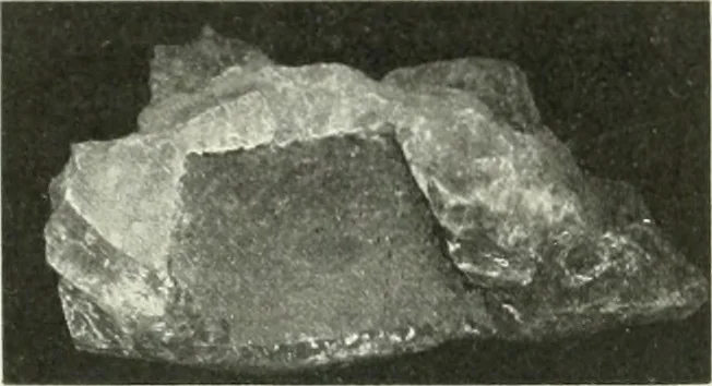 An illustration from Katalogos tou Mouseiou Lykosouras, 1911, leaf 24