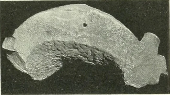 An illustration from Katalogos tou Mouseiou Lykosouras, 1911, leaf 24