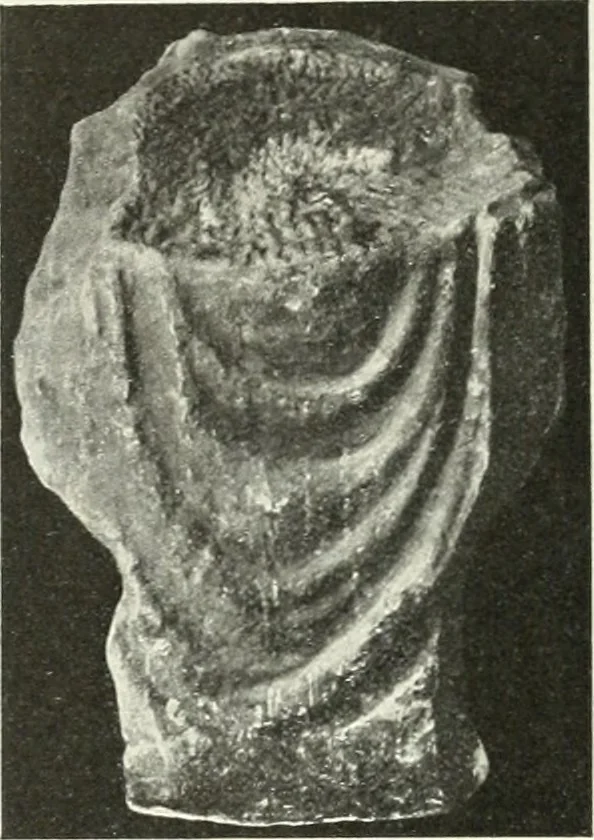 An illustration from Katalogos tou Mouseiou Lykosouras, 1911, leaf 25