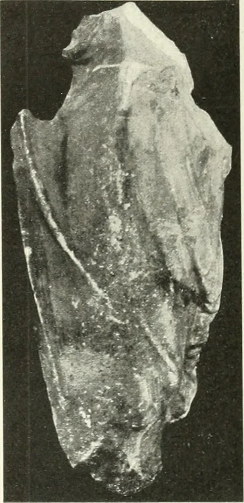 An illustration from Katalogos tou Mouseiou Lykosouras, 1911, leaf 27