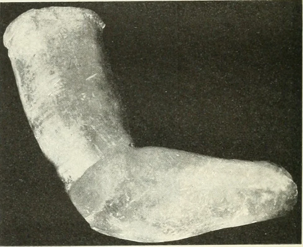 An illustration from Katalogos tou Mouseiou Lykosouras, 1911, leaf 29