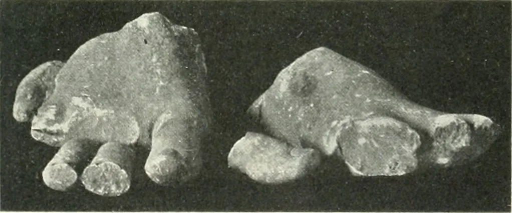 An illustration from Katalogos tou Mouseiou Lykosouras, 1911, leaf 30