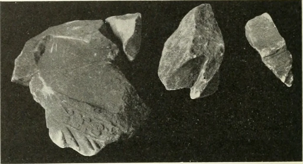 An illustration from Katalogos tou Mouseiou Lykosouras, 1911, leaf 31