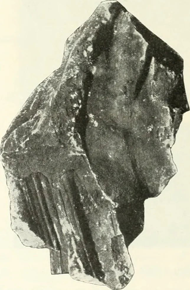 An illustration from Katalogos tou Mouseiou Lykosouras, 1911, leaf 31