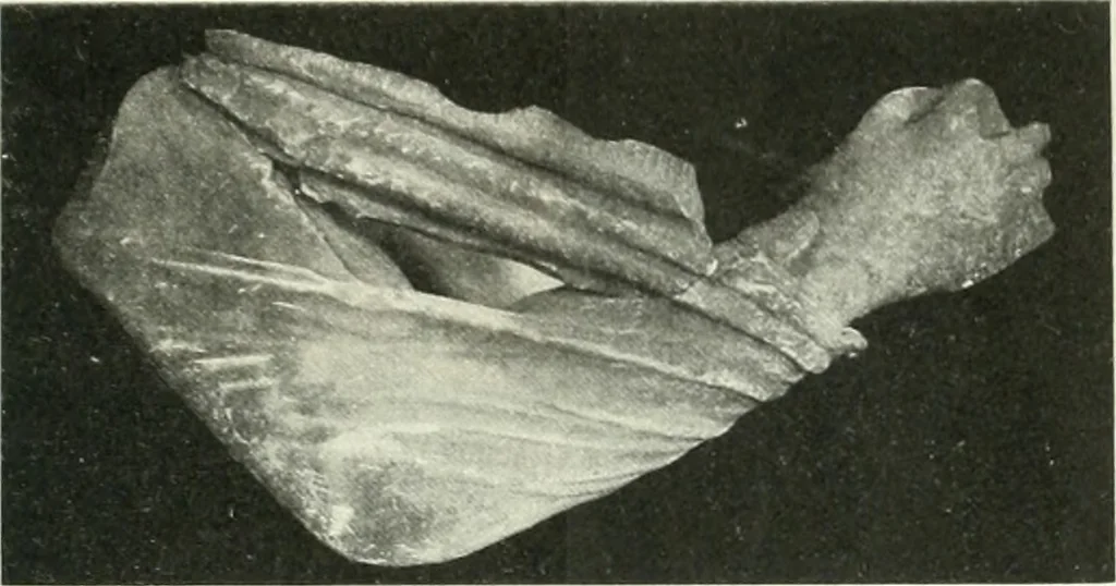 An illustration from Katalogos tou Mouseiou Lykosouras, 1911, leaf 32