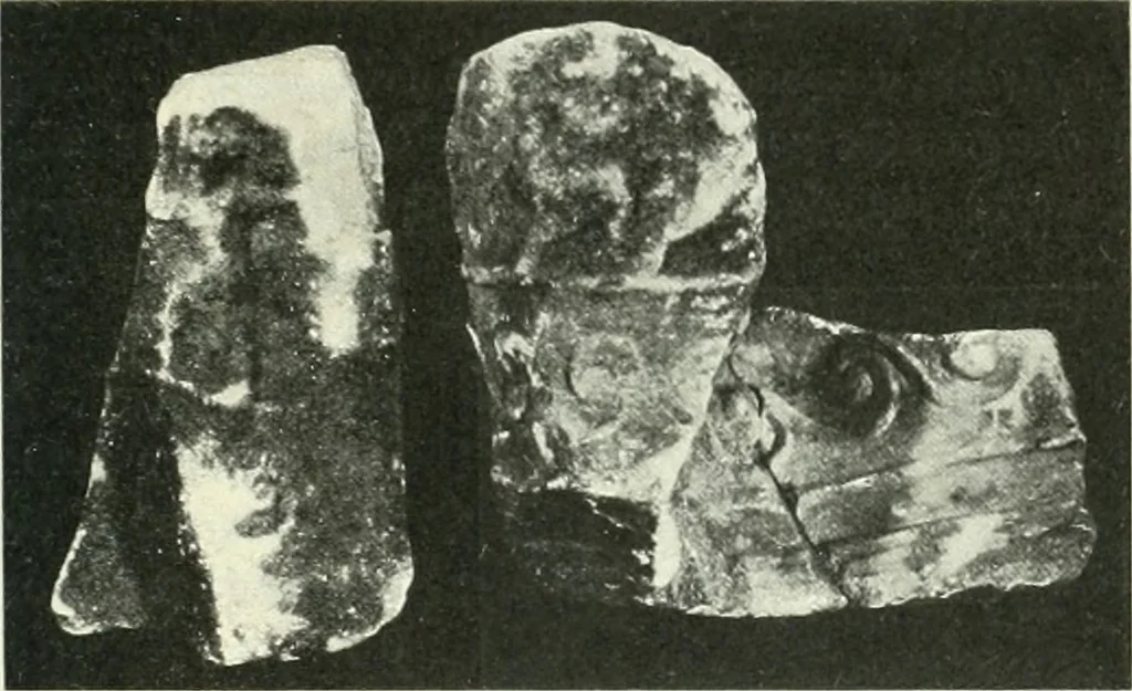 An illustration from Katalogos tou Mouseiou Lykosouras, 1911, leaf 36