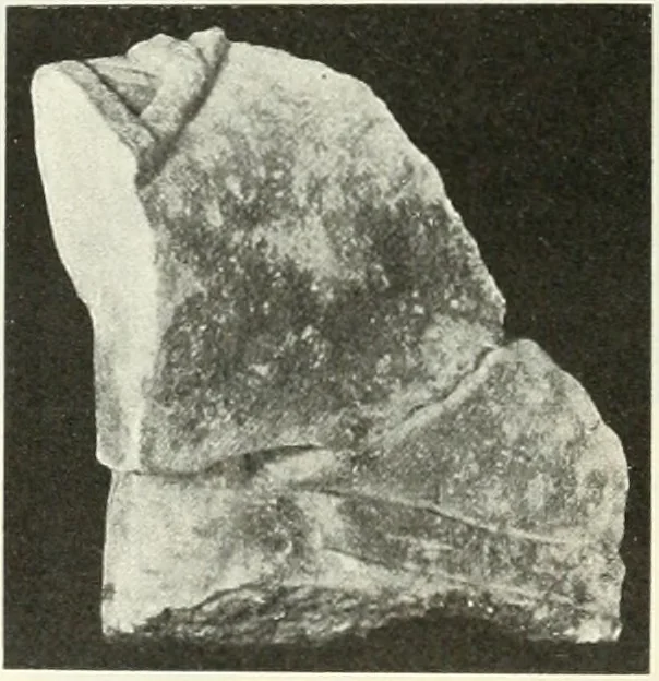 An illustration from Katalogos tou Mouseiou Lykosouras, 1911, leaf 37