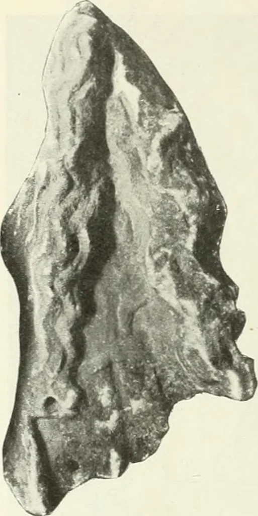 An illustration from Katalogos tou Mouseiou Lykosouras, 1911, leaf 39