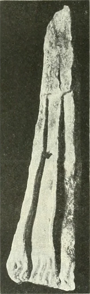 An illustration from Katalogos tou Mouseiou Lykosouras, 1911, leaf 40