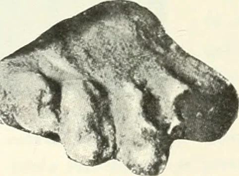 An illustration from Katalogos tou Mouseiou Lykosouras, 1911, leaf 41