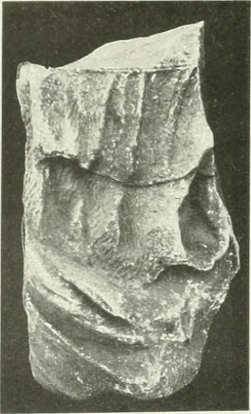 An illustration from Katalogos tou Mouseiou Lykosouras, 1911, leaf 44