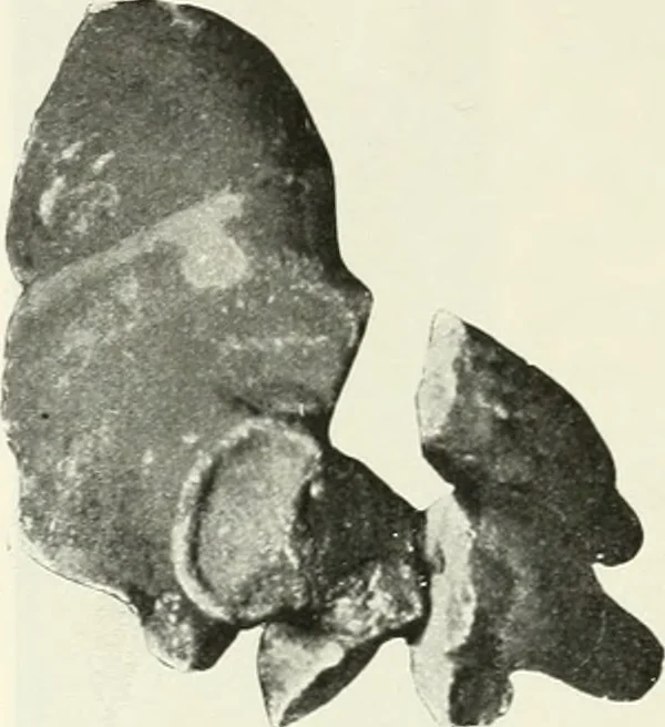 An illustration from Katalogos tou Mouseiou Lykosouras, 1911, leaf 47