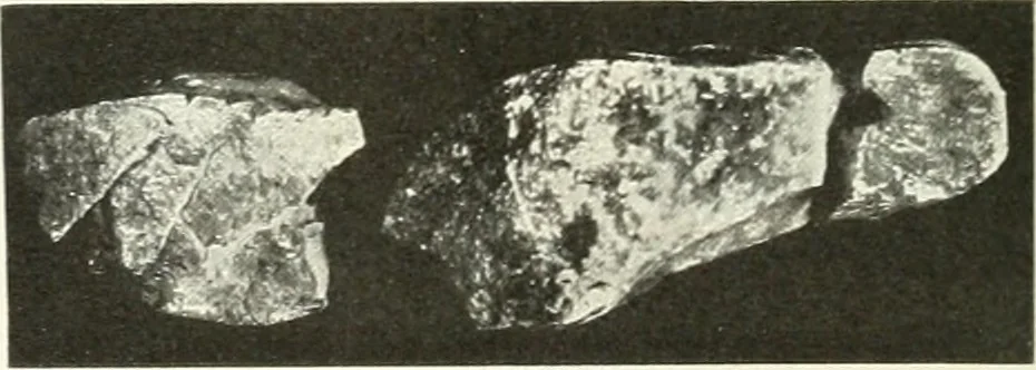 An illustration from Katalogos tou Mouseiou Lykosouras, 1911, leaf 49