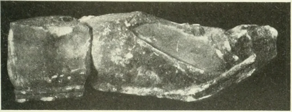 An illustration from Katalogos tou Mouseiou Lykosouras, 1911, leaf 50