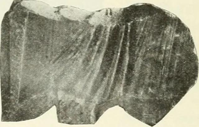 An illustration from Katalogos tou Mouseiou Lykosouras, 1911, leaf 53