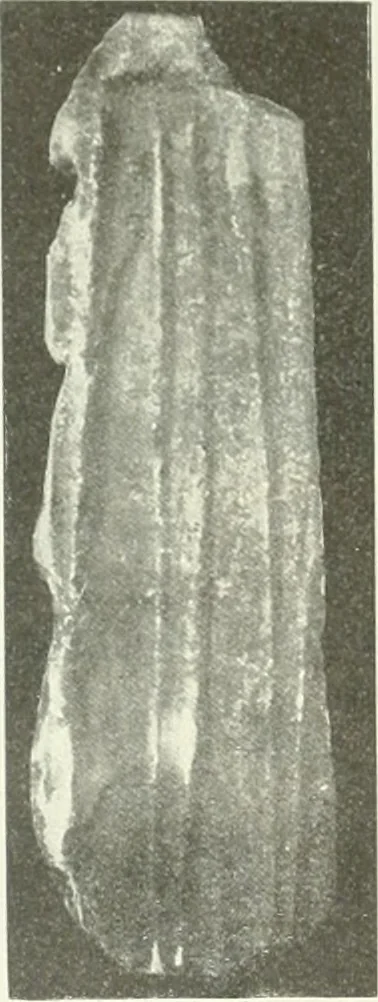 An illustration from Katalogos tou Mouseiou Lykosouras, 1911, leaf 54