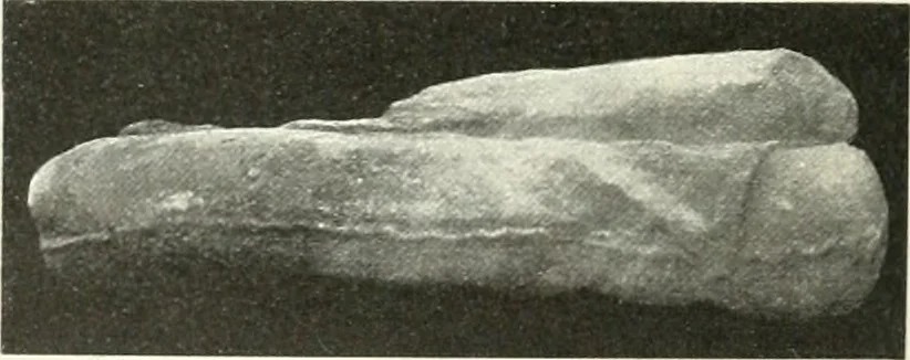 An illustration from Katalogos tou Mouseiou Lykosouras, 1911, leaf 55