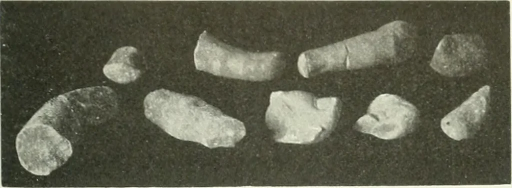 An illustration from Katalogos tou Mouseiou Lykosouras, 1911, leaf 58