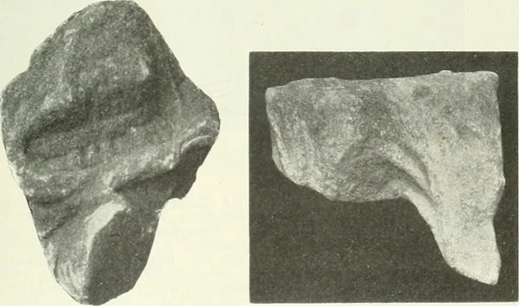 An illustration from Katalogos tou Mouseiou Lykosouras, 1911, leaf 58