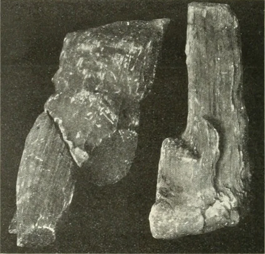 An illustration from Katalogos tou Mouseiou Lykosouras, 1911, leaf 59