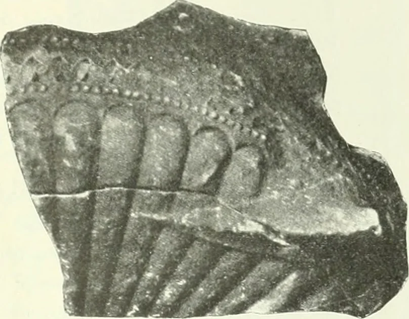 An illustration from Katalogos tou Mouseiou Lykosouras, 1911, leaf 66