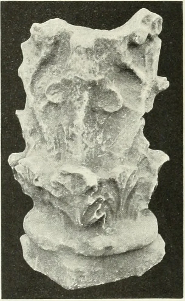An illustration from Katalogos tou Mouseiou Lykosouras, 1911, leaf 69