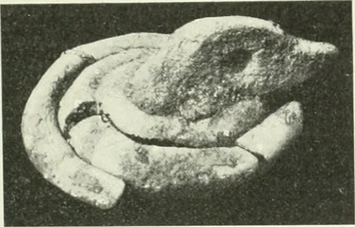 An illustration from Katalogos tou Mouseiou Lykosouras, 1911, leaf 74