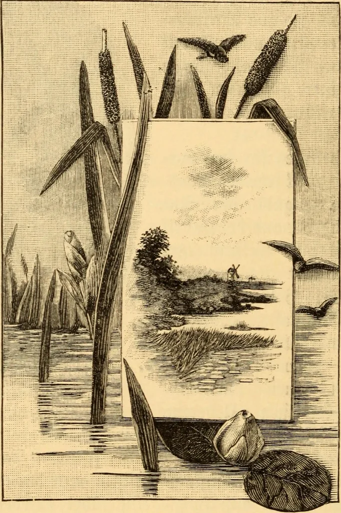 An illustration from Katechismus der Liebhaberkünste, 1896, leaf 221