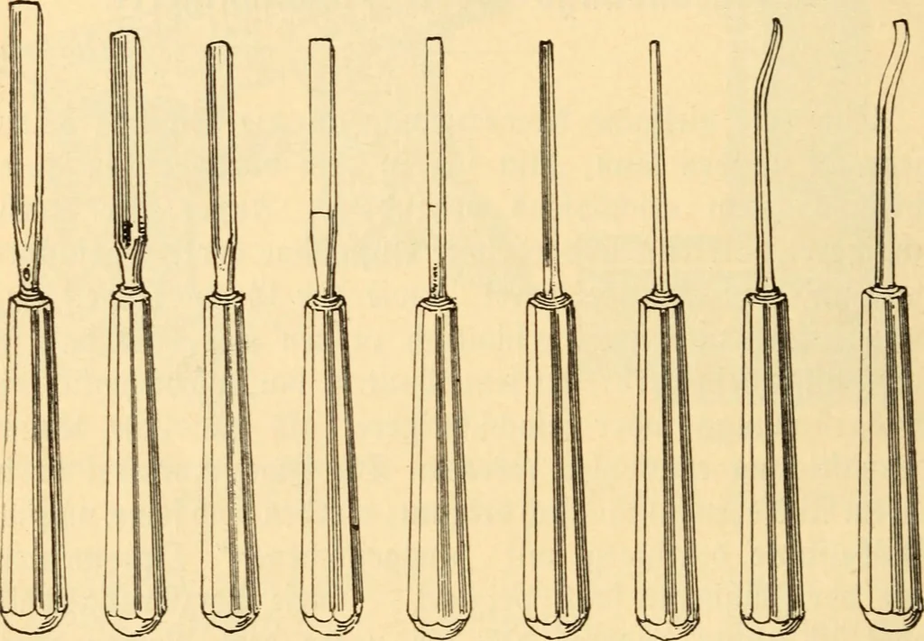 An illustration from Katechismus der Liebhaberkünste, 1896, leaf 81