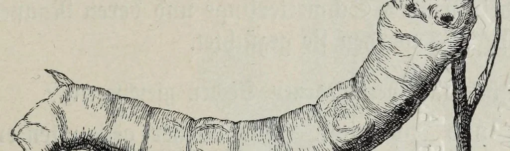 An illustration from Katechismus der Spinnerei, Weberei und Appretur, oder, Lehre von der mechanischen Verarbeitung der Gegespinstfasern, 1890, leaf 37